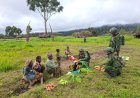 Jejak Kemanunggalan: Satgas Yonif 742/SWY Membangkitkan Ekonomi Mama Papua